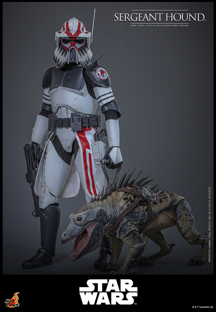 HotToys 1/6 Figure TMS167 Sergeant Hound